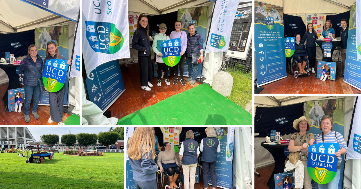 Collage of images from the UCD Veterinary Hospital Equine Services stand at the Dublin Horse Show. Photos show staff and visitors posing with the UCD Dublin crest in front of banners and displays inside the event tent. Team members, including some in UCD jackets, engage with attendees and share information about equine care and training. One image shows the empty showgrounds with green grass and g